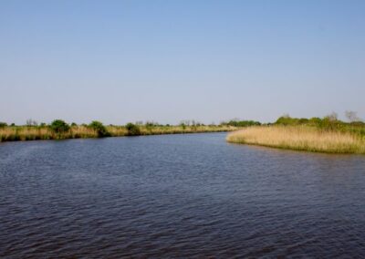 A Venezia con la Tavola Veneta
