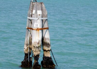 A Venezia con la Tavola Veneta