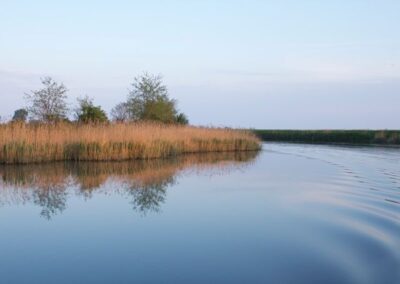 A Venezia con la Tavola Veneta