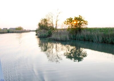 A Venezia con la Tavola Veneta