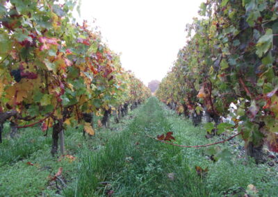 Congresso Europeo Bordeaux Francia