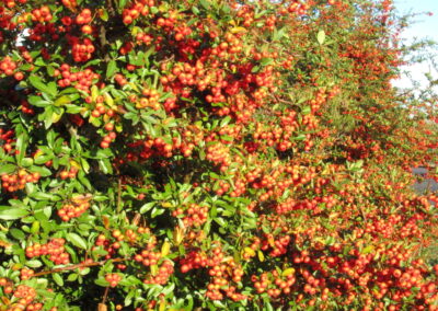 Congresso Europeo Bordeaux Francia