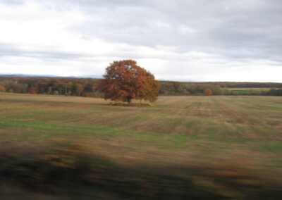 Congresso Europeo Bordeaux Francia