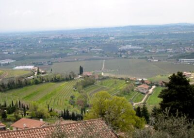 Festa di Primavera 2010